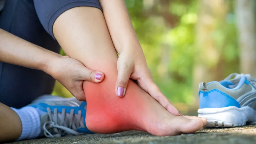 Tibialis posterior